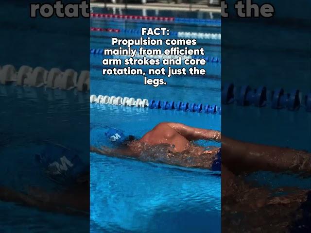 Outswim the Myths