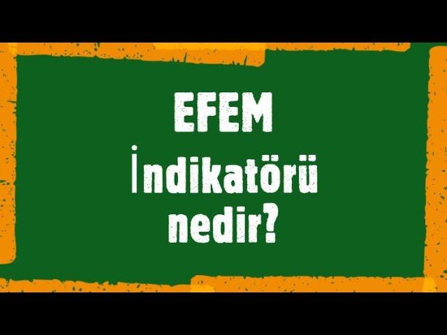 EFEM İndikatörü nedir? Ne işe yarar? Nasıl kullanılır?