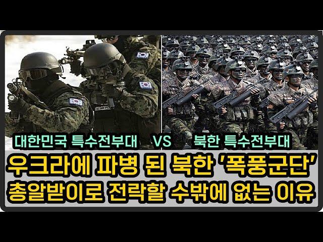 대한민국 특수전부대 VS 북한 특수전부대, 파병된 폭풍군단 전쟁에 미칠 영향은?