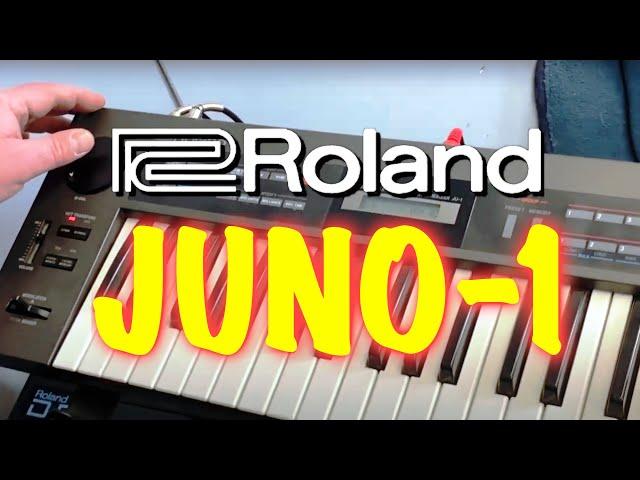 The Roland Alpha Juno-1 Analog Synthesizer - 3 Old Tech Dudes