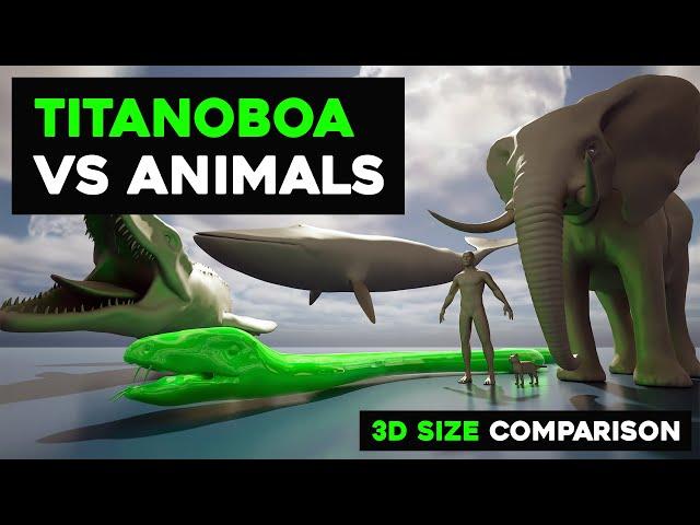 Titanoboa vs Animals Size Comparison