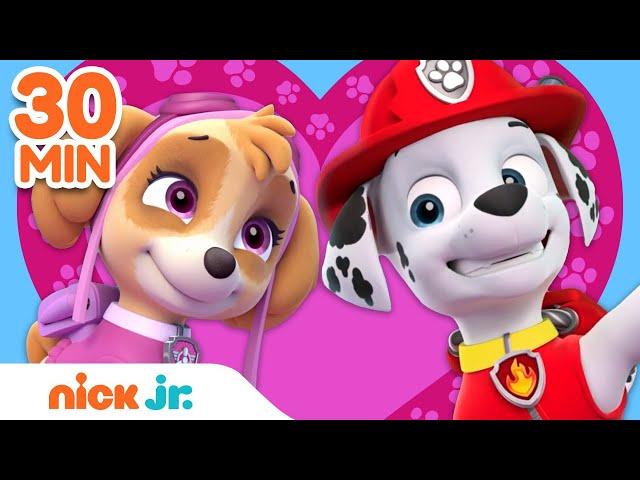 PAW Patrol Celebrates Friendship Day  w/ Skye, Marshall & Chase | 30 Minute Compilation | Nick Jr.