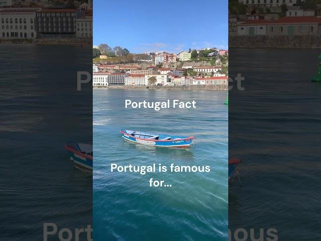 Do you plan on visiting Portugal? Comment below #digitalnomad #travel #traveling #portugal #shorts