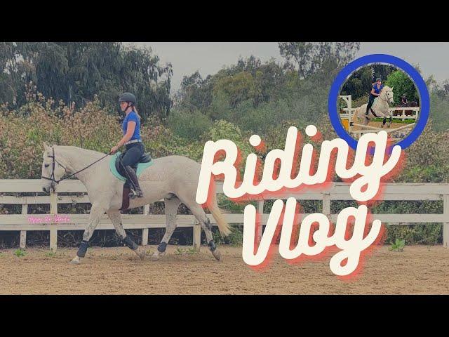 Riding Vlog: Working on lines // Happy the Standie