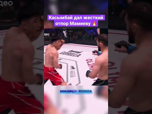 Посадил в печень  смотрели бой? #касымбай #мамиев #hardcore #hfc #mma #заруба #нокаутвпечень