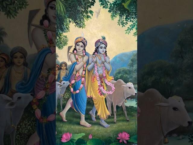 Krishna the supreme lord #krishna #krishnabhajan #music #love #shortsfeed #shorts #viralvideo