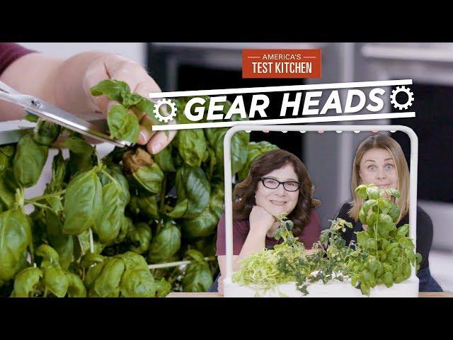 Gear Heads | Growing Fresh Herbs with Indoor Gardens