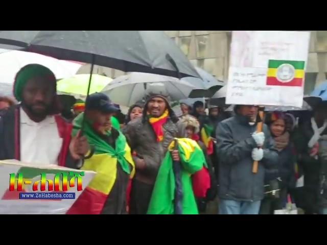 ዘሐበሻ ሚድያ - በአውሮጳ የተደረገውን የቤተ ክርስቲያን ሰላማዊ ሰልፍ እንዲህ ዘግቦታል።