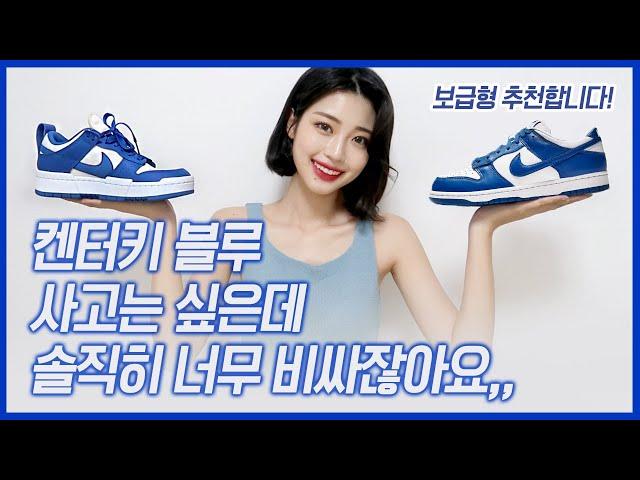 덩크로우 켄터키 사고는 싶은데 솔직히 너무 비싸잖아요!! 보급형 켄터키 추천!/나이키 덩크로우 디스럽트 게임로얄/ NIKE DUNK LOW DISRUPT GAME ROYAL