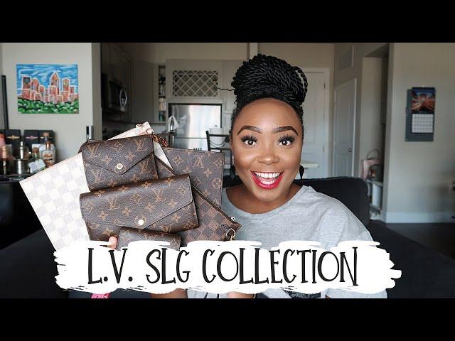 MY ENTIRE Louis Vuitton Small Leather Goods (SLG) Collection + Advice on Which to Buy | Morgan Monia