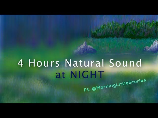 4 Hours of Nature Sound at Night | #SoundSketch Ft. Morning Little Stories