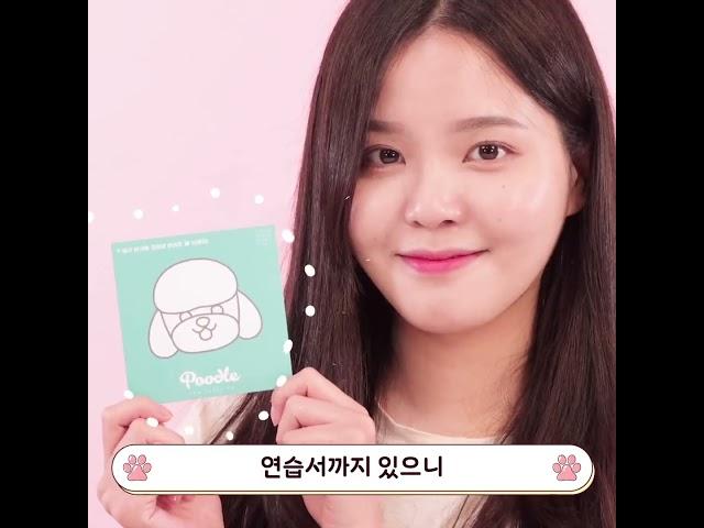 입체 강아지 고양이 색칠하기 컬러링 키트! 귀염뽀짝 아트토이 디자인 아이들 방학 집콕놀이, 실내 데이트템, 창의력 미술놀이 만들기 키트로 추천!