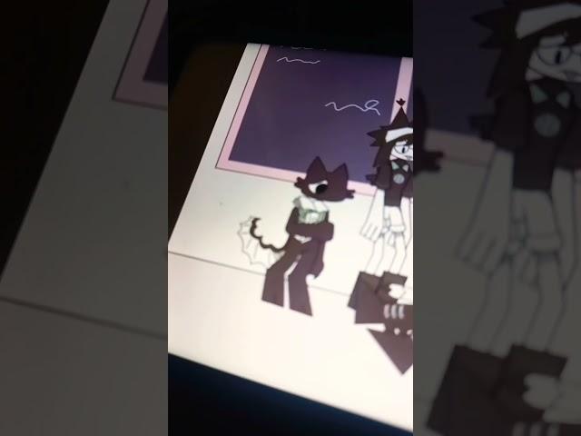 Pobrecito él CUBBIE Como es el gato de la escuela