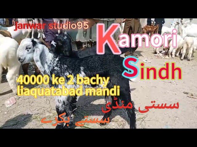 Liaquatabad Maweshi Mandi || Goat Farming In Pakistan || Kamori Goat Kids || Sasta Bakra || بکری بچے