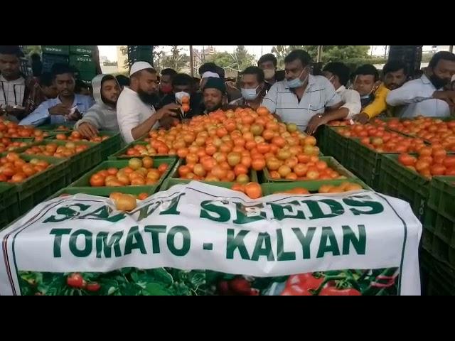 saivi seeds,kalyan