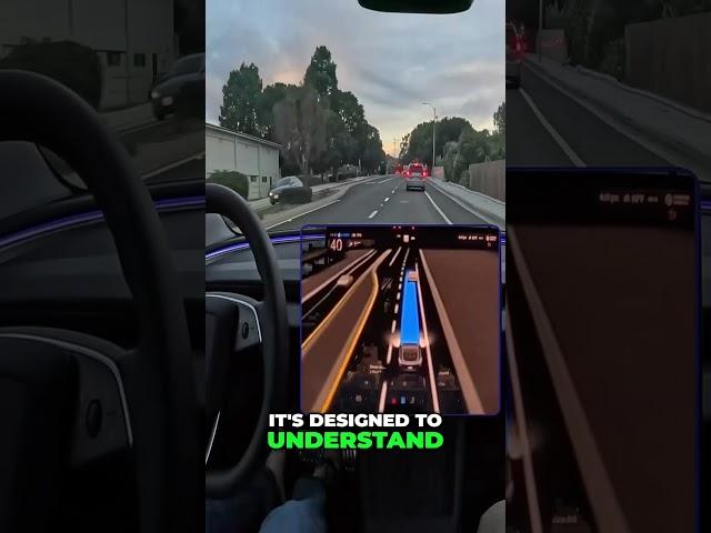 How Tesla's AI Learns to Drive Like a Human
