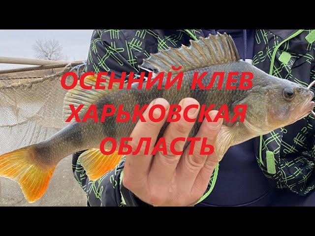 Осенний клев, Харьковская область, Шевченковский район