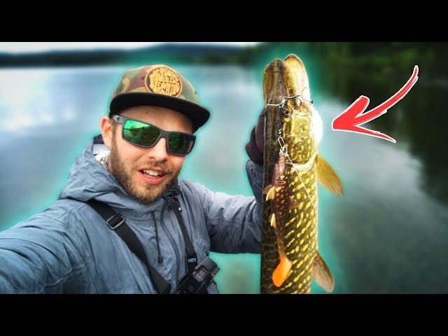 4 Tips for PIKE FISHING from the Shore 