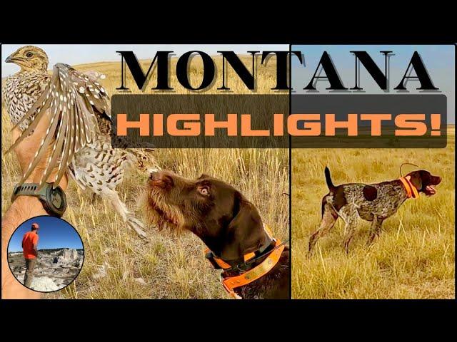 My Favorite Moments from Montana '23