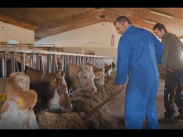 Wo kommt die Milch her? Doku Serie Wir leben Naturland