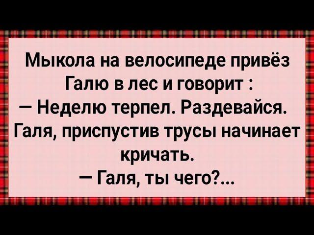 Как Мыкола в Лес Галю Возил! Сборник Свежих Анекдотов! Юмор!