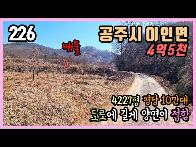 (공주부동산) / 공주시 이인면 용성리 / 평당 10만원대 저렴하고 4227평 넓은 토지 / 도로에 양면이 길게 접함 / 귀촌귀향 세컨하우스 주말농장 농막부지 텃밭 농가주택