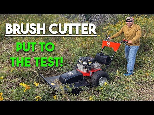 Putting a Brush Cutter to the Test | Is it worth the investment?