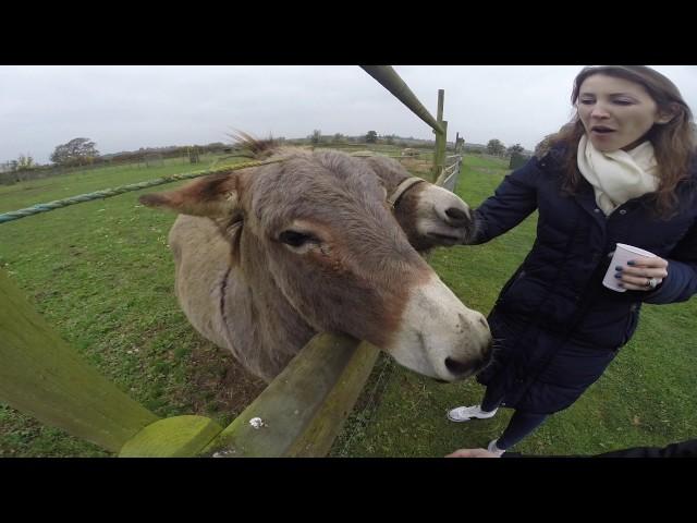 Farm visit