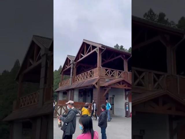 阿里山車站｜Alishan Station #旅行喵 #阿里山 #阿里山車站 #阿里山小火車 #Alishan