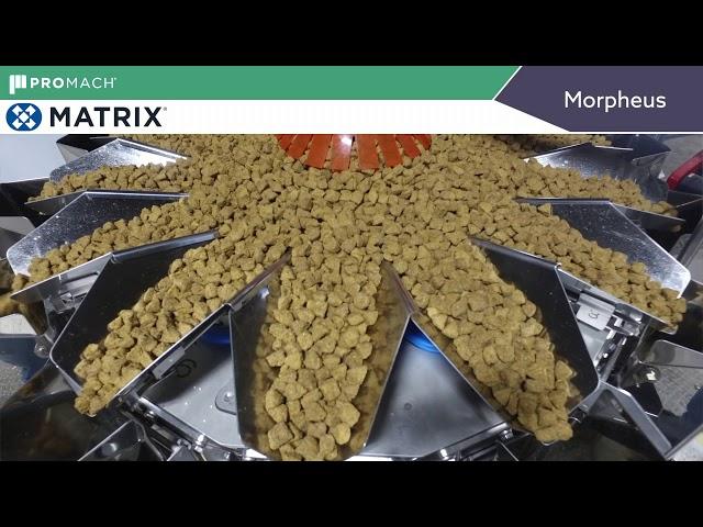 Matrix Morpheus and Yamato 14-Head Scale Package Dog Food Treats!