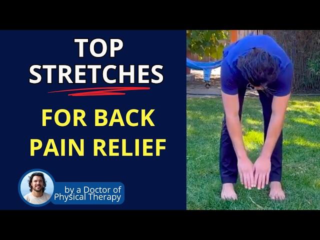 Best Stretches for Back Pain & SI Joint Pain