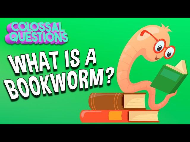 What Is A Bookworm? | COLOSSAL QUESTIONS