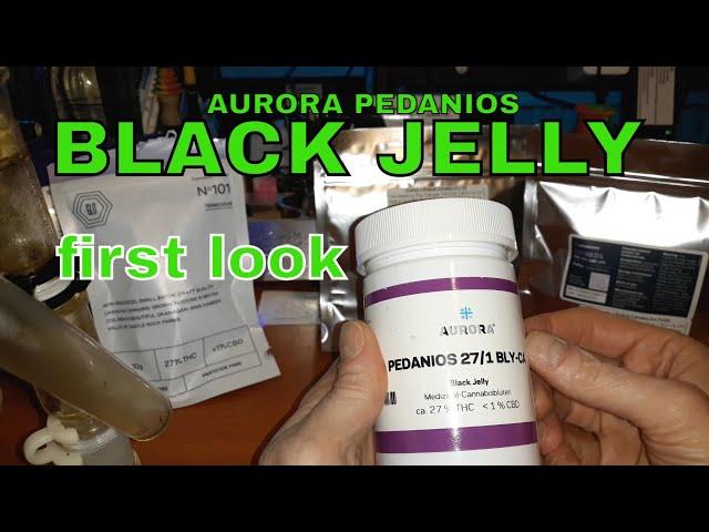 BLACK JELLY | Aurora Pedanios | 8.50/g | 27% | FIRST LOOK