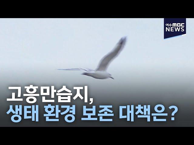 고흥만습지, 생태 환경 보존 대책은?-R (210211목/뉴스데스크)