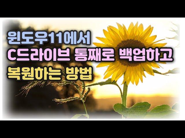 [윈도우11] C 드라이브 통째로 이미지 백업하고 복원하는 방법 소개