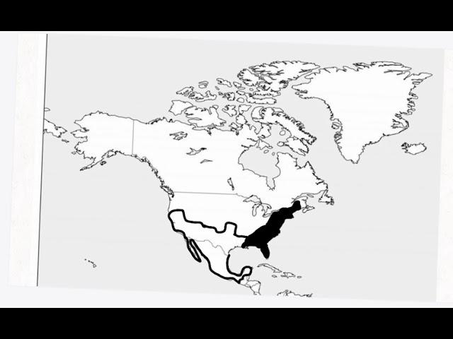 Expansion of the U.S. from 1776-2023