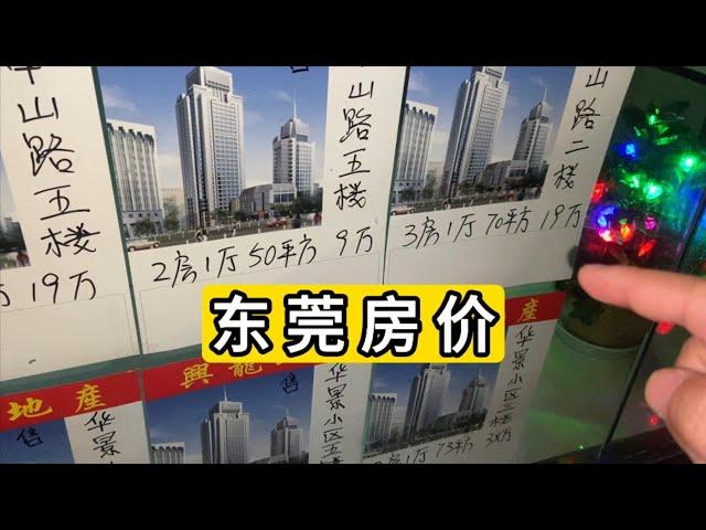 广东省东莞市石龙镇2024年房价大致情况 China dongguan city shilong town house price