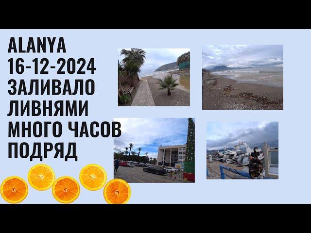 ALANYA 16 ДЕКАБРЯ 2024 ROMKA ROKER ГУЛЯЕМ ПОСЛЕ ЛИВНЕЙ РАССКАЗЫВАЮ ЧТО ПРОИСХОДИТ АЛАНЬЯ ЗИМОЙ