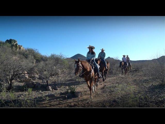 Arizona’s Unique Offerings Give Meetings a Powerful Sense of Place