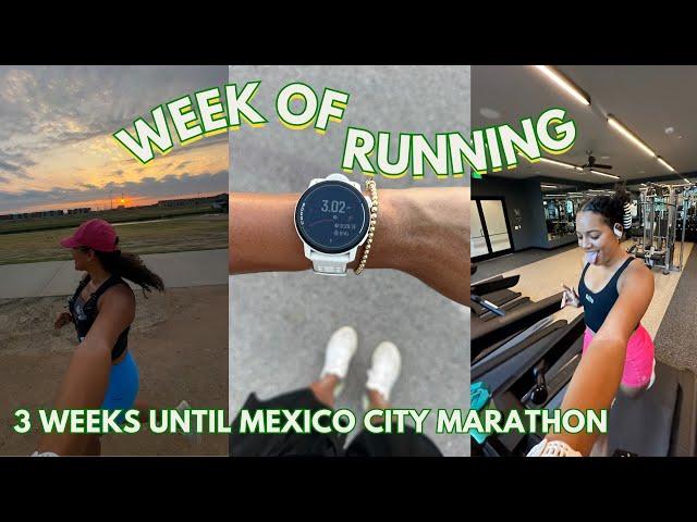 MARATHON TRAINING VLOG: 3 Weeks Until Mexico City Marathon