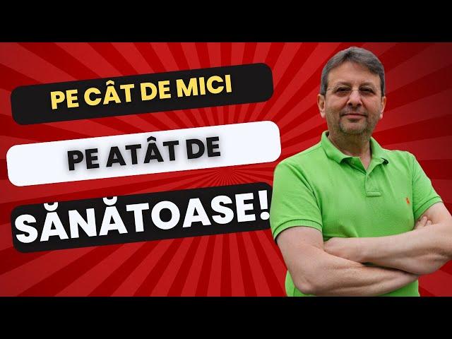 ATÂT DE MICI, DAR ATÂT DE SĂNATOASE!