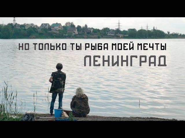 Ленинград - Но только ты рыба моей мечты (Не официальный клип)