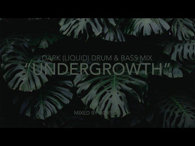 "Undergrowth" ~ Dark Drum & Bass Mix