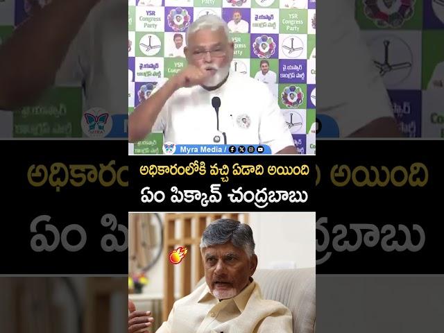 అధికారంలోకి వచ్చి ఏడాది అయింది ఏం పిక్కావ్ చంద్రబాబు