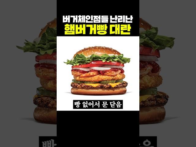 버거체인점들 난리 난 햄버거빵 대란