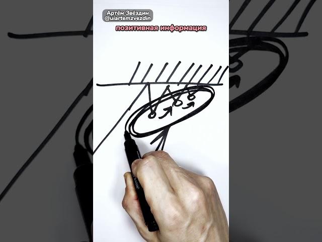 Обучение трейдингу с нуля бесплатно