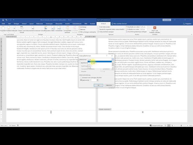 Römische und arabische Seitenzahlen in einem Dokument – Word-Tutorial