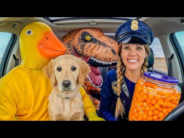 Police Steals Puppy from Rubber Ducky in Car Ride Chase!