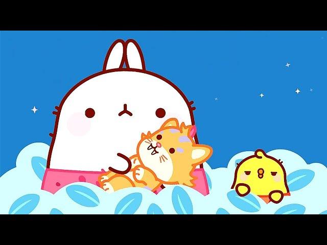Molang - The Saber Tooth Kitten  Super Toons TV Cartoons