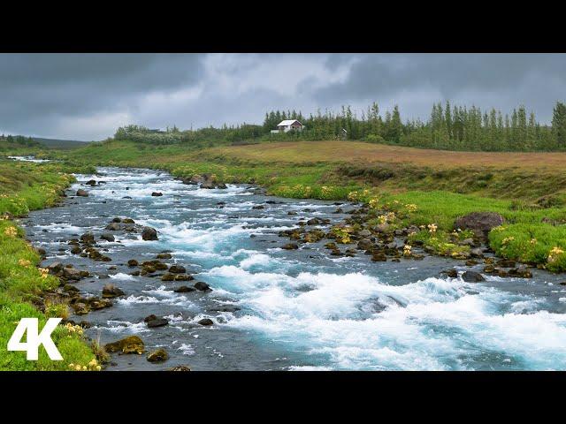 الطبيعة الساحره  صوت الانهار ، صوت المطر  والطيور لتهدئة الاعصاب |  Relaxing Nature Sounds 4k